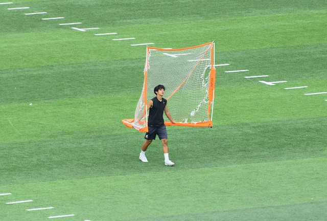 的水平