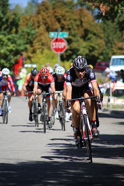 借鉴案例 借鉴案例