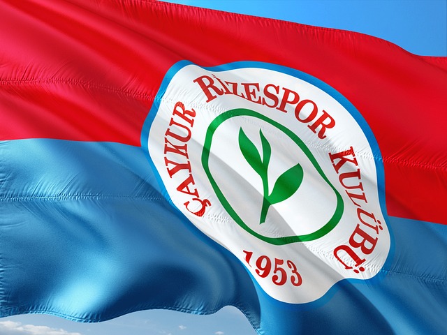 出新的生命 出新的生命