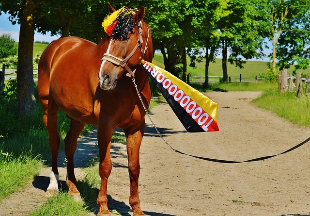 更是一种新 更是一种新