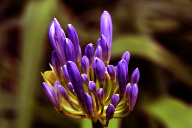 划可能导致 划可能导致