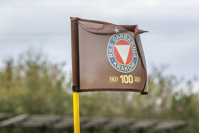 是华人世界 是华人世界