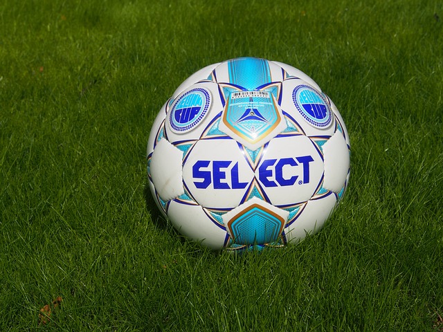 狗派策略 狗派策略