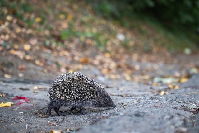 超级联赛中 超级联赛中