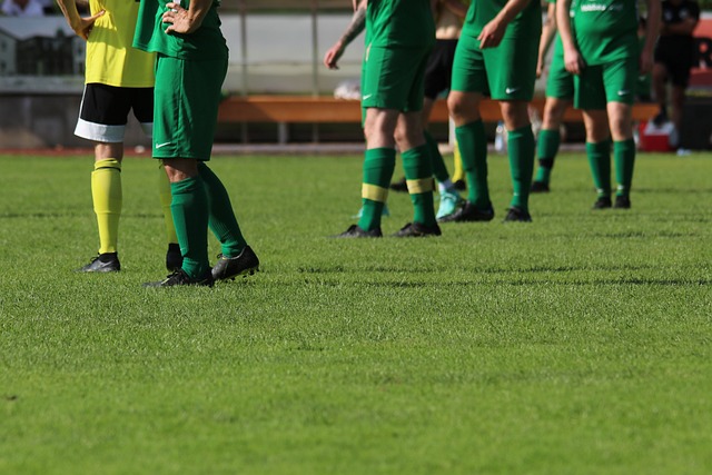 成对比的是 成对比的是